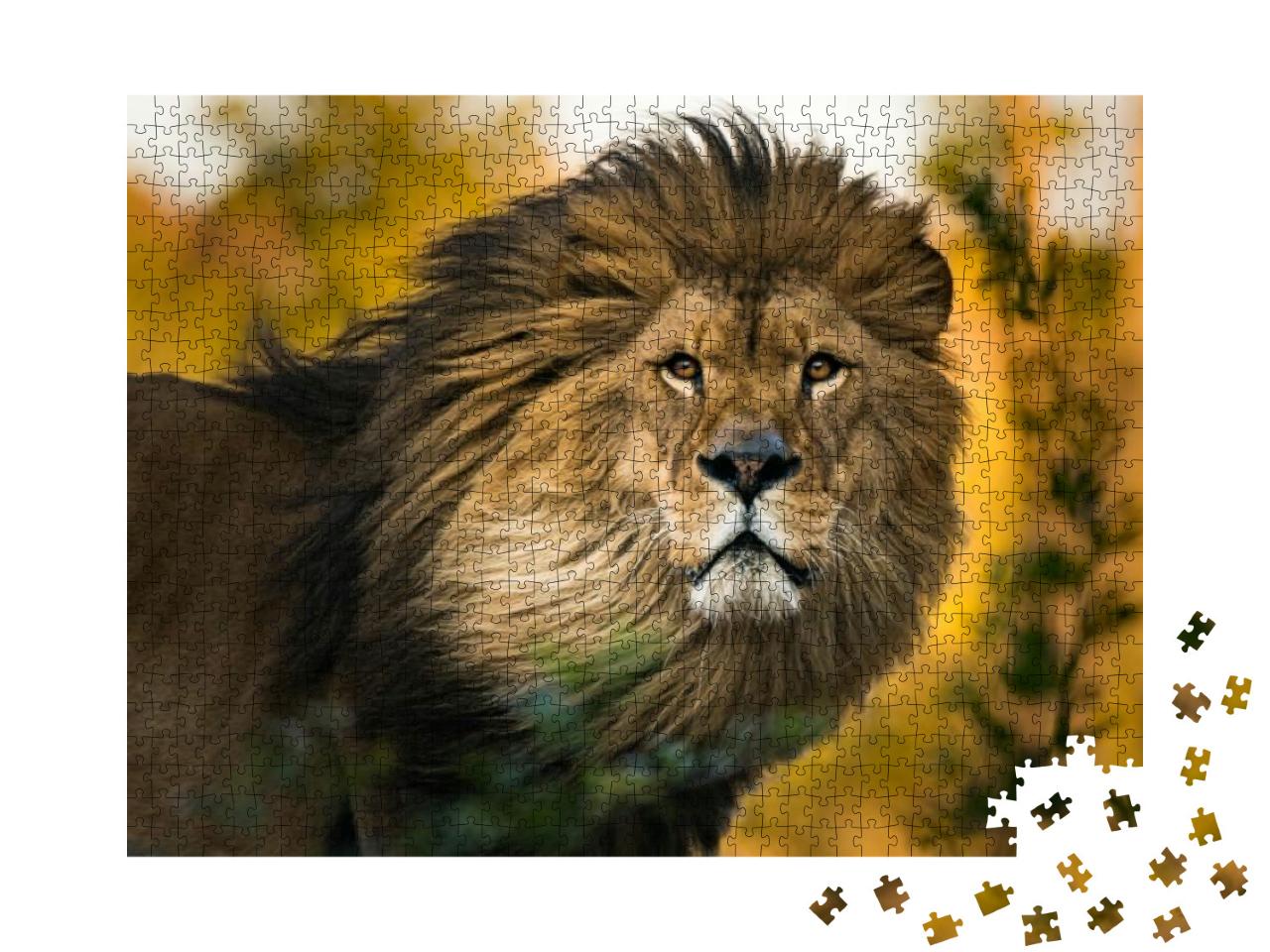 Puzzle 1000 Teile „König der Löwen: Porträt“