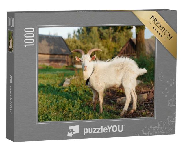 Puzzle 1000 Teile „Weiße Ziege auf dem Bauernhof im Sommer“
