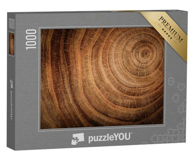 Puzzle 1000 Teile „Stumpf einer gefällten Eiche mit Stamm und Jahresringen“