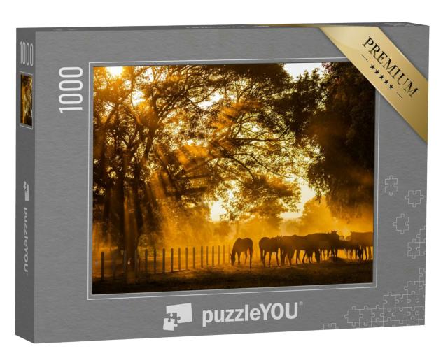 Puzzle 1000 Teile „Pferde beim Grasen im goldenen Abendlicht“