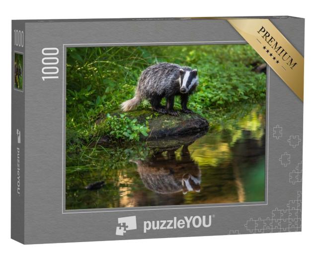 Puzzle 1000 Teile „Dachs in seinem Lebensraum Wald, Deutschland, Europa“