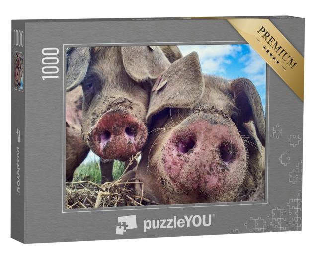Puzzle 1000 Teile „Glückliche Schweine“
