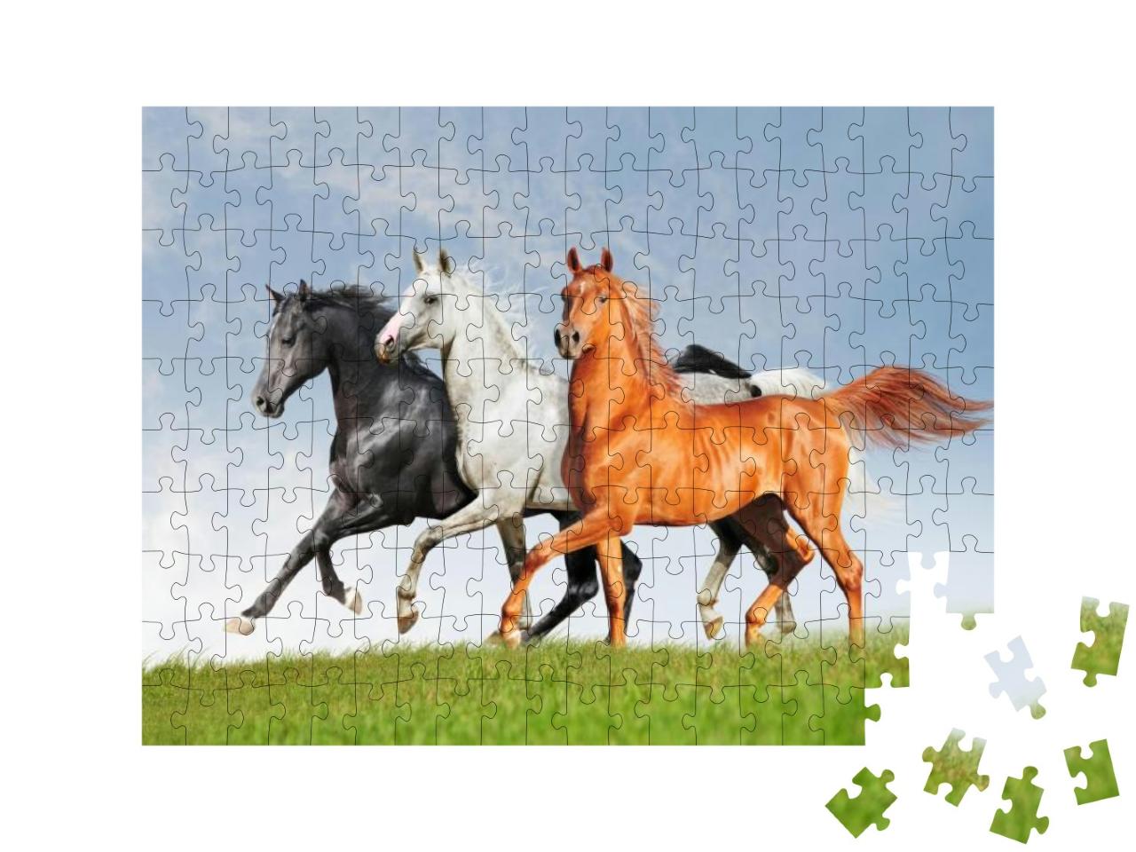 Puzzle 200 Teile „Drei Araber-Pferde“