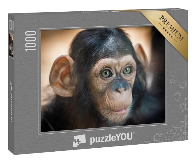 Puzzle 1000 Teile „Porträt eines Schimpansenbabys in Pilsen, Tschechische Republik“