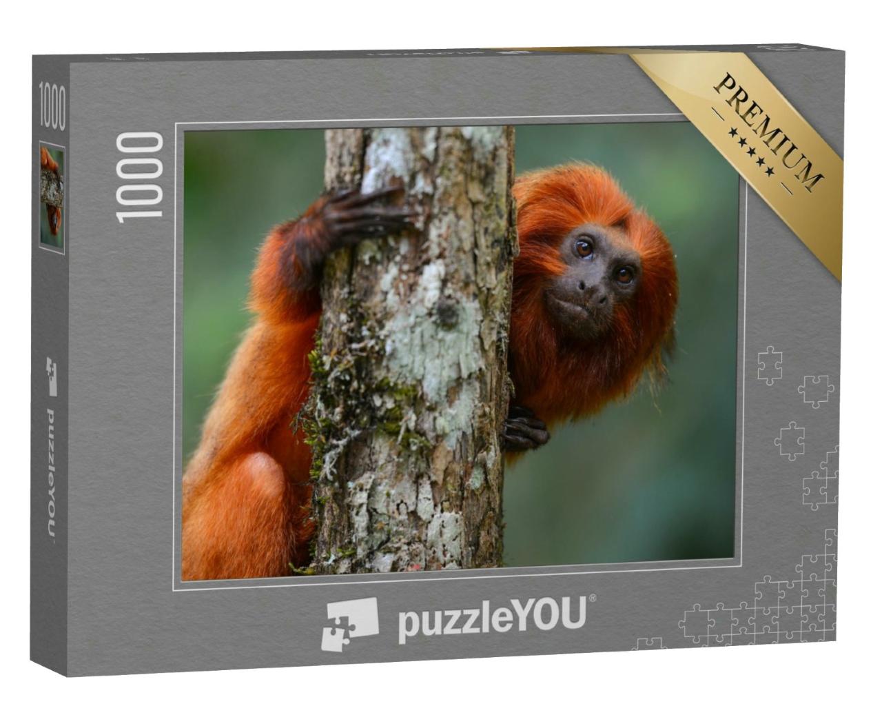 Puzzle 1000 Teile „Goldener Löwentamarin, Bundesstaat Rio de Janeiro, Brasilien“