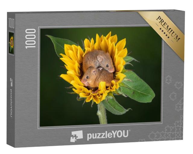 Puzzle 1000 Teile „Zwei Mäuse kuscheln sich in eine Sonnenblume“