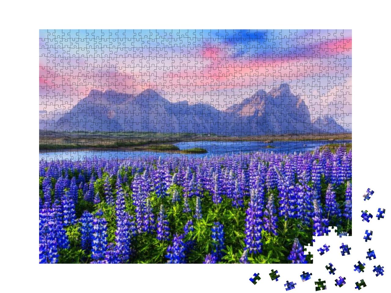 Puzzle 1000 Teile „Lupinen-Wiesen in der Nähe des Stokksnes-Gebirges, Island“