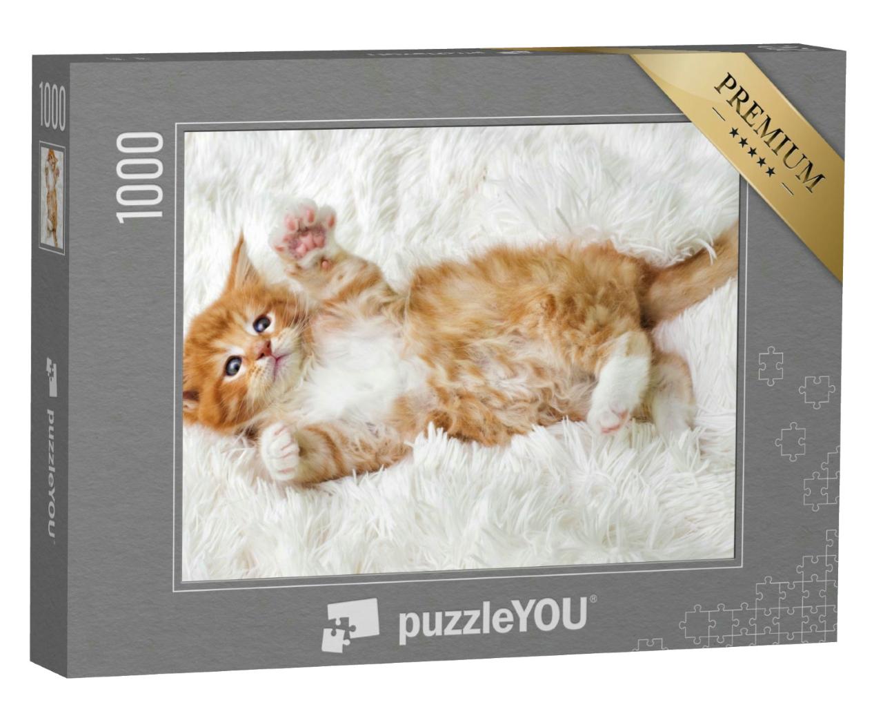 Puzzle 1000 Teile „Kleines süßes Katzenbaby“