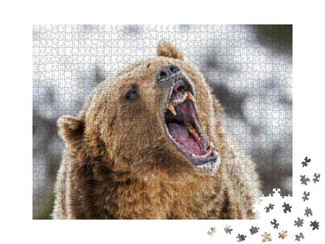 Puzzle 1000 Teile „Ein brüllender Grizzly“