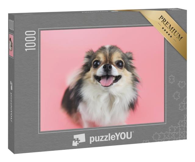 Puzzle 1000 Teile „Chihuahua mit langen Haaren und rosa Zunge“