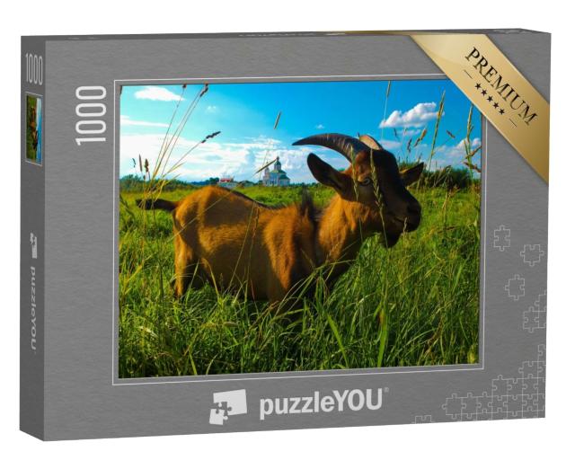 Puzzle 1000 Teile „Hausziege frisst saftiges Gras auf einem Feld in einem Dorf“