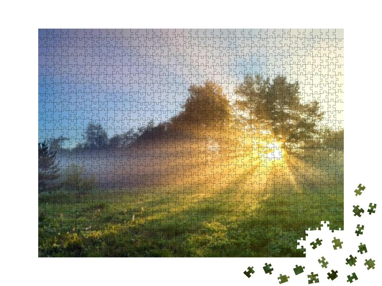 Puzzle 1000 Teile „Waldwiese im Sonnenaufgang“