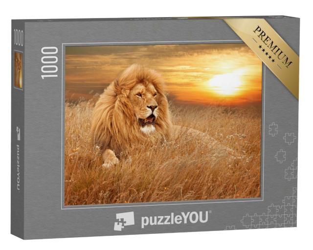 Puzzle 1000 Teile „Bild von Löwen im Gras“