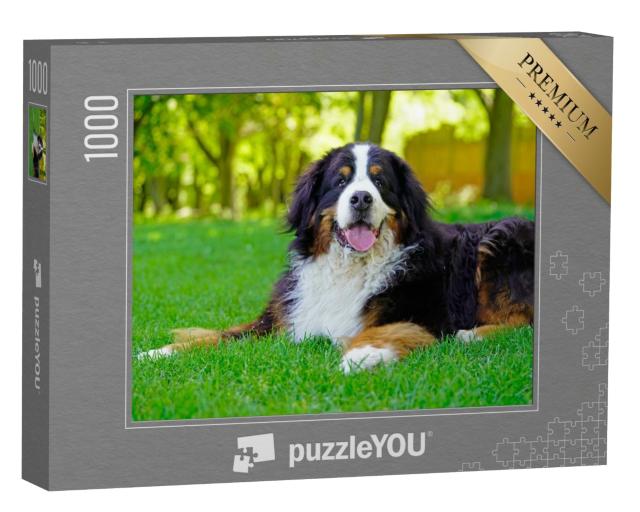 Puzzle 1000 Teile „Großer Berner Sennenhund auf dem Rasen“