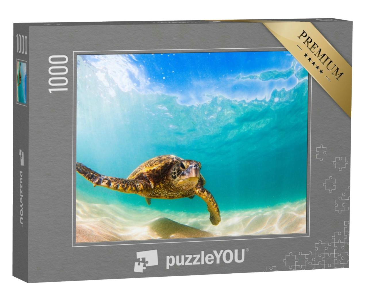 Puzzle 1000 Teile „Grüne Meeresschildkröte, Hawaii“