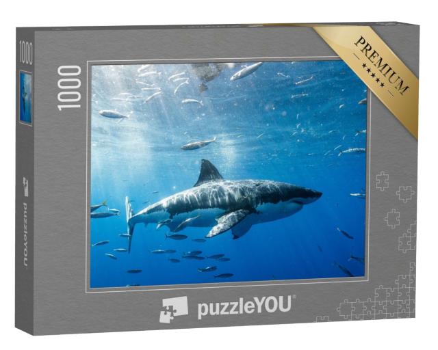 Puzzle 1000 Teile „Weißer Hai in Mexiko“