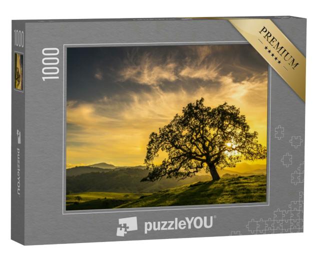 Puzzle 1000 Teile „Sonnenuntergang durch eine Eiche bei San Jose, Kalifornien“
