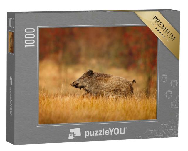 Puzzle 1000 Teile „Großes Wildschwein läuft auf einer Wiese“