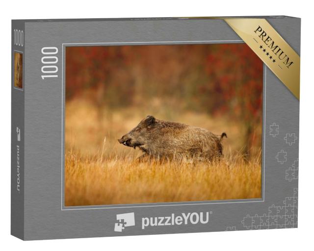 Puzzle 1000 Teile „Großes Wildschwein läuft auf einer Wiese“