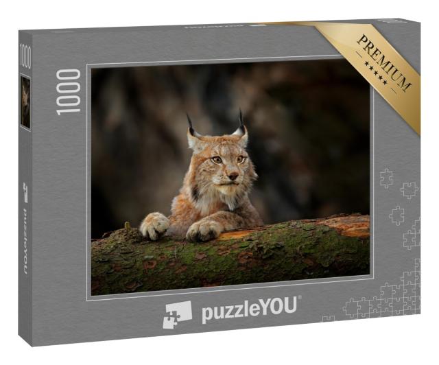 Puzzle 1000 Teile „Aufmerksamer Luchs im Wald“