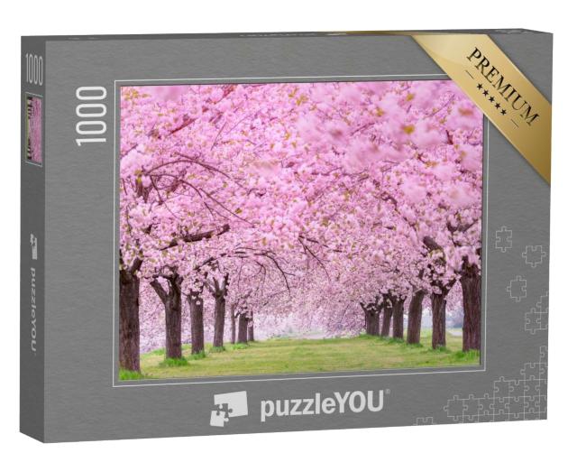 Puzzle 1000 Teile „Üppige Kirschblüten, Japan Obuse-machi, Präfektur Nagano“