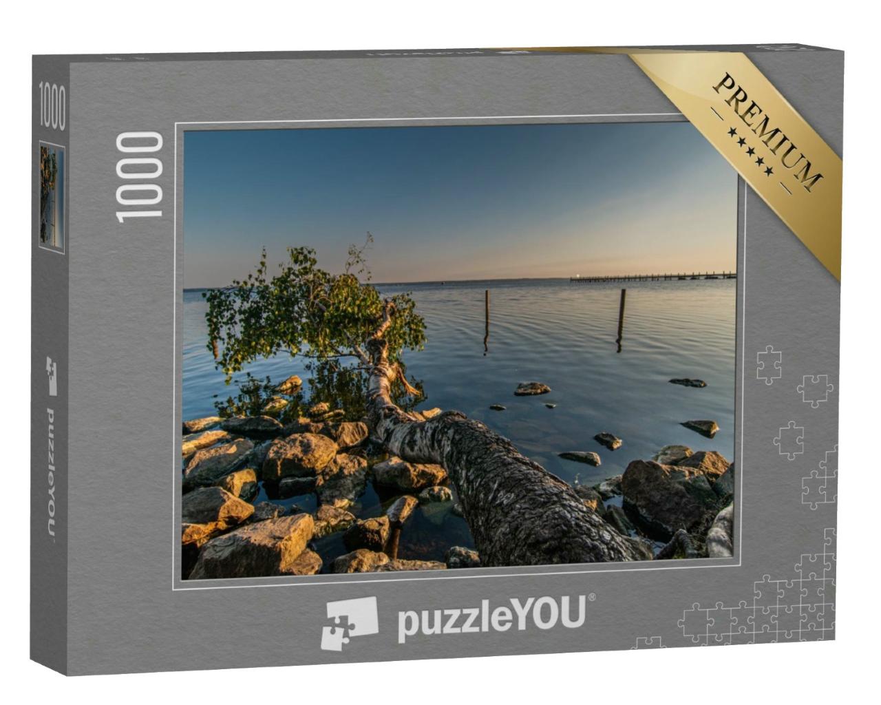 Puzzle 1000 Teile „Natur am Steinhuder Meer“