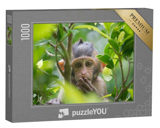 Puzzle 1000 Teile „Ein Affe in einem Wald in Thailand“