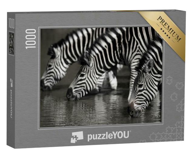 Puzzle 1000 Teile „Zebraherde am Wasserloch, Südafrika“