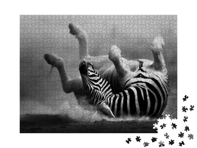 Puzzle 1000 Teile „Zebra, das sich im Staub wälzt“