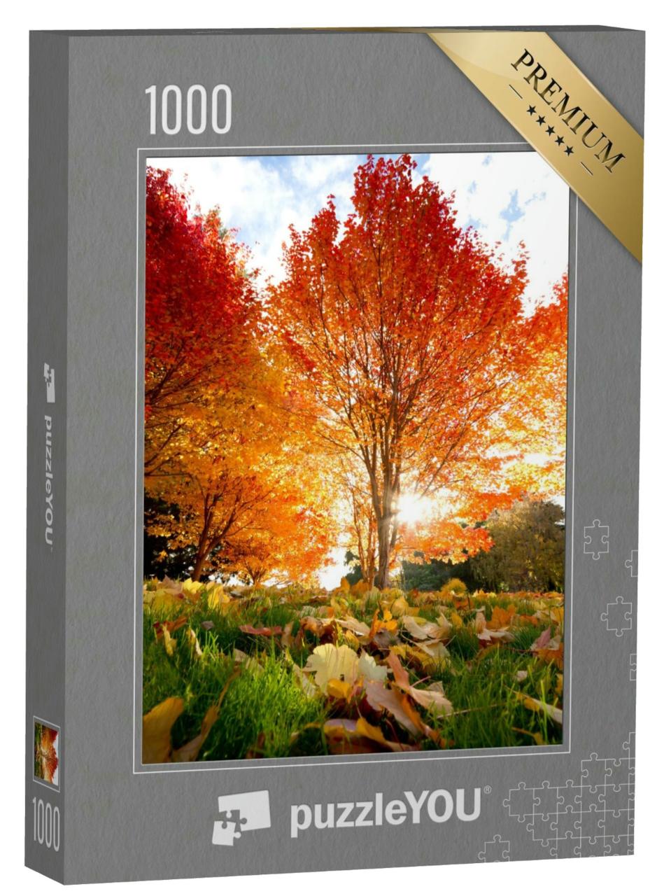 Puzzle 1000 Teile „Lichtdurchfluteter Baum mit rotem Laub im Herbst“