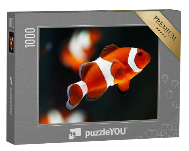 Puzzle 1000 Teile „Falscher Percala-Anemonenfisch oder Ocellaris-Anemonenfisch“