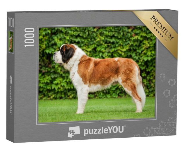 Puzzle 1000 Teile „Bernhardiner auf dem Rasen  “