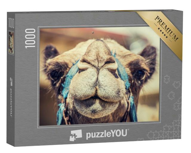 Puzzle 1000 Teile „Nahaufnahme eines Kamels“