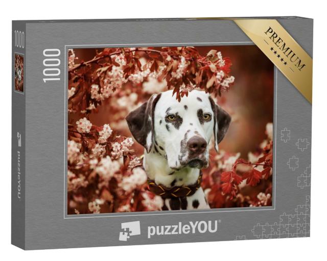 Puzzle 1000 Teile „Schöner Dalmatiner“
