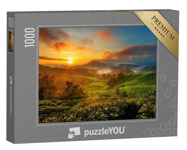 Puzzle 1000 Teile „Sonnenaufgang über einer Teeplantage im Cameron Highland, Malaysia“