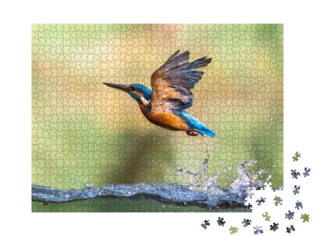 Puzzle 1000 Teile „Eisvogel fliegt aus dem Wasser“