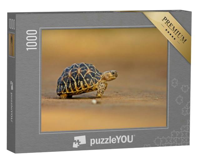 Puzzle 1000 Teile „Indische Sternschildkröte“