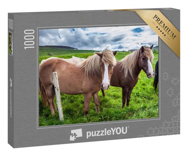 Puzzle 1000 Teile „Island-Pferde in der isländischen Tundra“