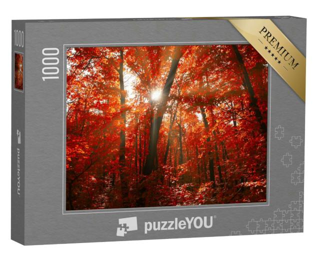Puzzle 1000 Teile „Roter Herbstwald mit Sonnenlicht “