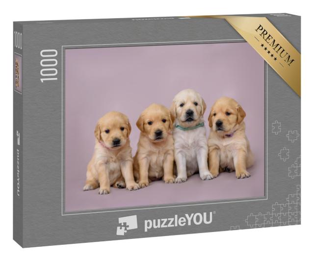 Puzzle 1000 Teile „Vier kleine Golden Retrieve Welpen “