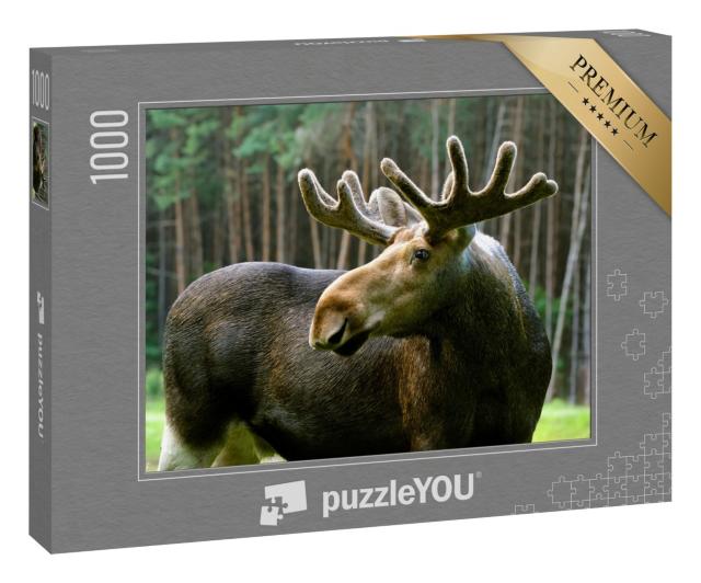 Puzzle 1000 Teile „Elch in seinem natürlichen Lebensraum“