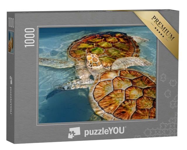 Puzzle 1000 Teile „Zwei Wasserschildkröten“
