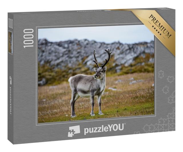 Puzzle 1000 Teile „Rentier in seinem natürlichen Lebensraum“