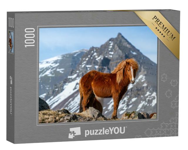 Puzzle 1000 Teile „Island-Pferd“