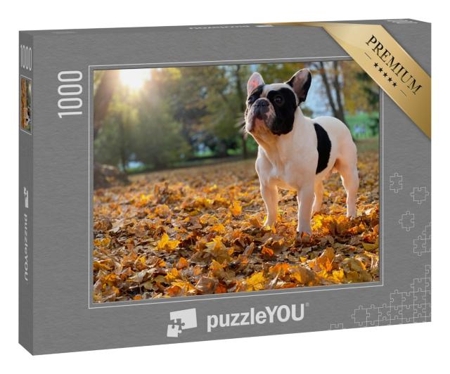 Puzzle 1000 Teile „Eine Französische Bulldogge sitzt“