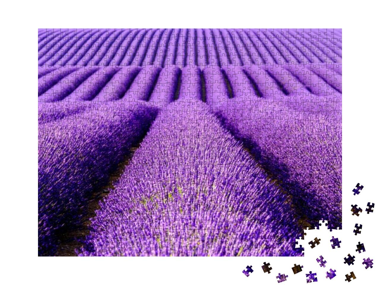 Puzzle 1000 Teile „Lavendelblüten auf der Hochebene von Valensole, Provence, Frankreich“