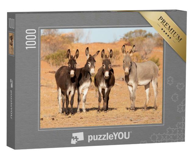 Puzzle 1000 Teile „Esel im australischen Outback“
