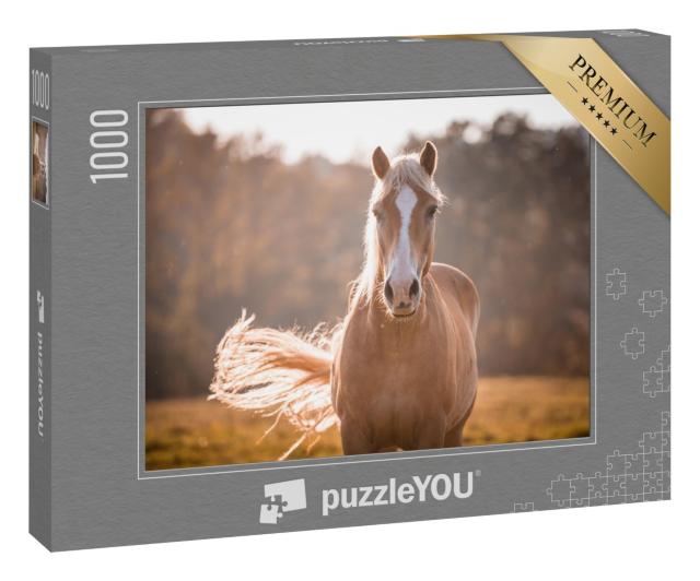 Puzzle 1000 Teile „Haflinger-Pferd mit weißer Blesse“