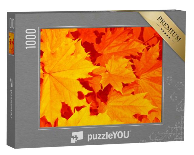 Puzzle 1000 Teile „Herbstlaub im Indian Summer“