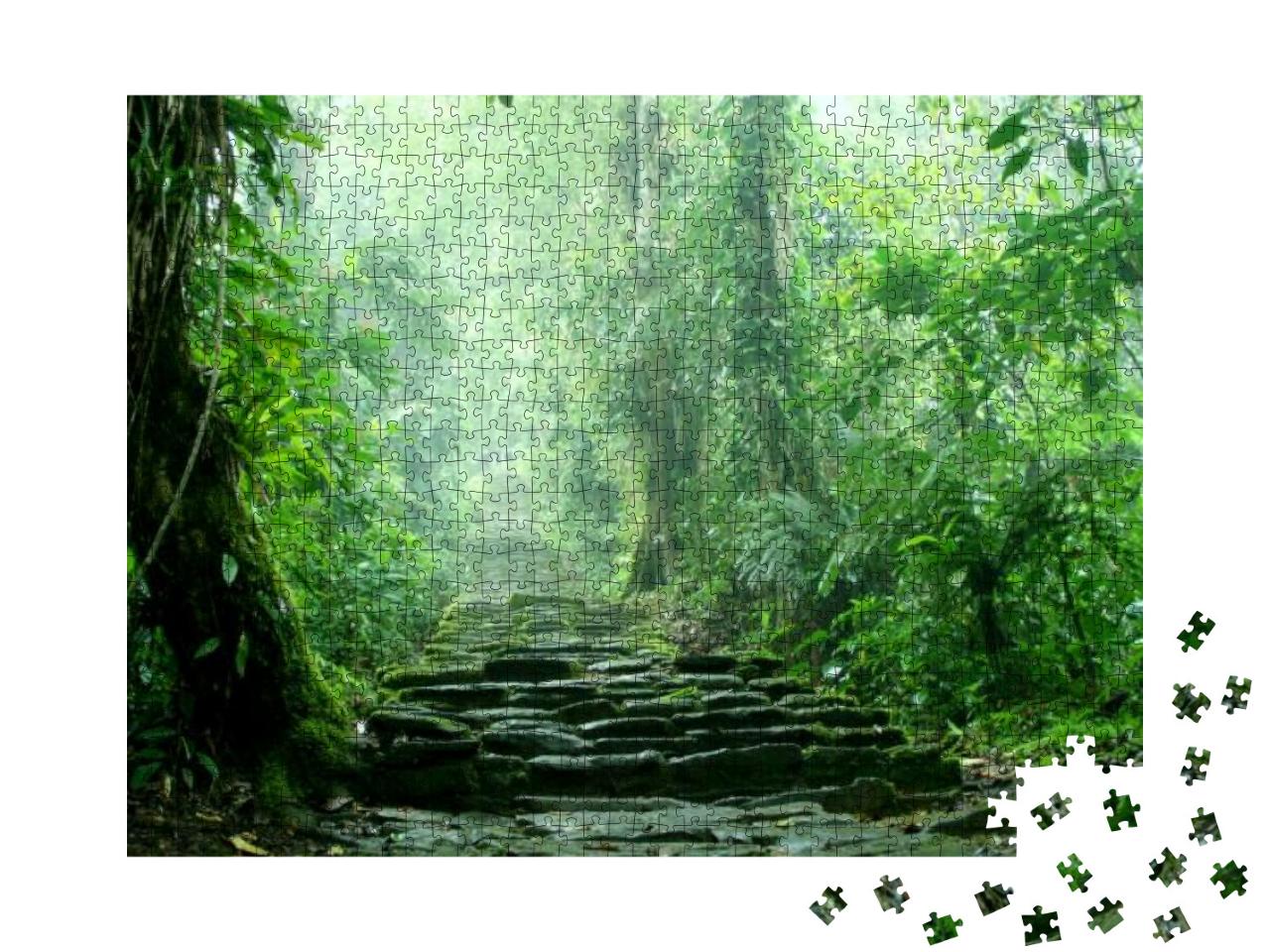 Puzzle 1000 Teile „Versteckte Treppe tief im kolumbianischen Dschungel“